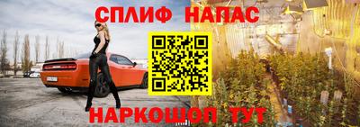 ешки Кингисепп