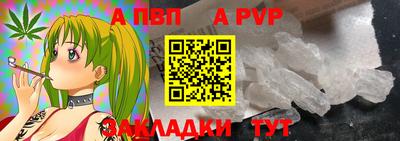 ешки Кингисепп